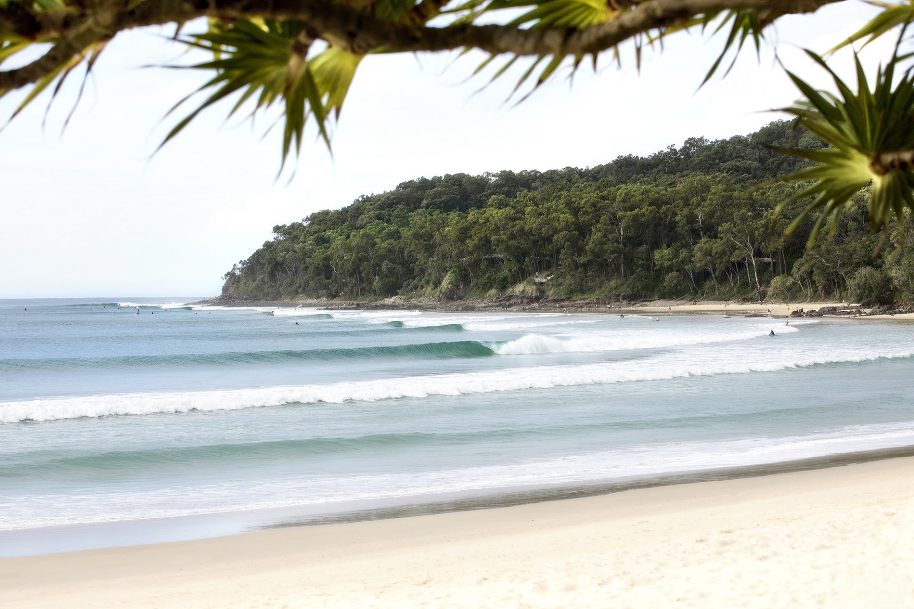 PREMIUM NOOSA MANAGEMENT RIGHTS with Exceptional Residence