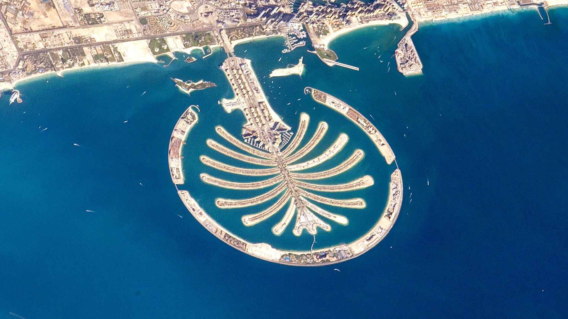 Trophy Freehold Hotel, Palm Jumeirah Dubai | 171 Keys | Operational | AED 13.3M Net Income